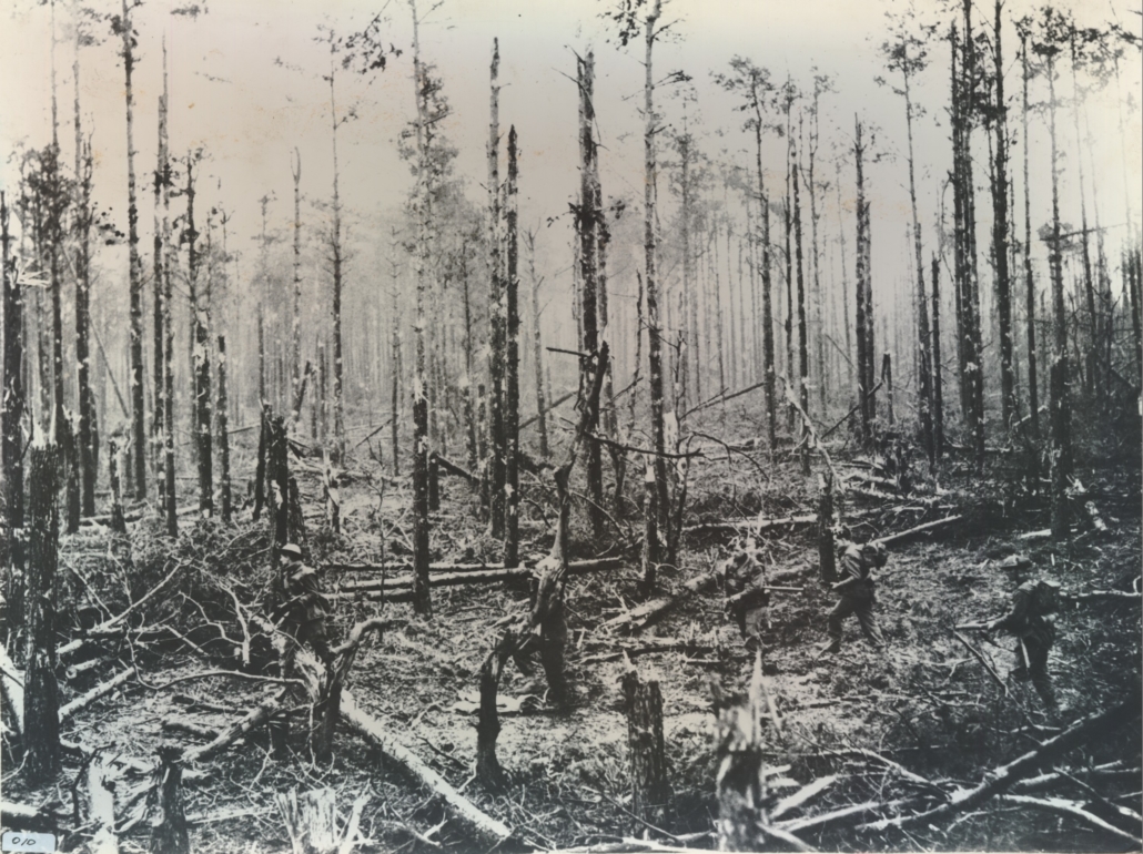 Krieg am Niederrhein Reichswald in Duitsland.