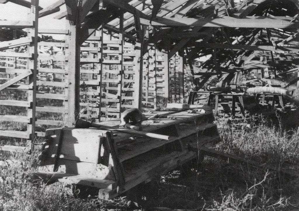 Archief Korevaar - Fotobewerking: berrydereusfotografie.nl