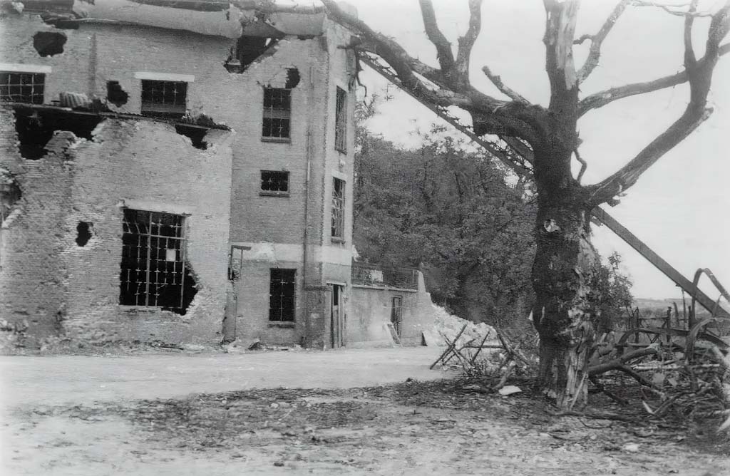 Archief Korevaar - Fotobewerking: berrydereusfotografie.nl