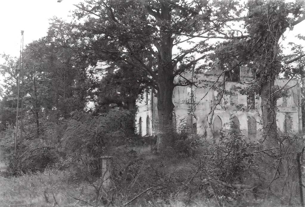 Archief Korevaar - Fotobewerking: berrydereusfotografie.nl