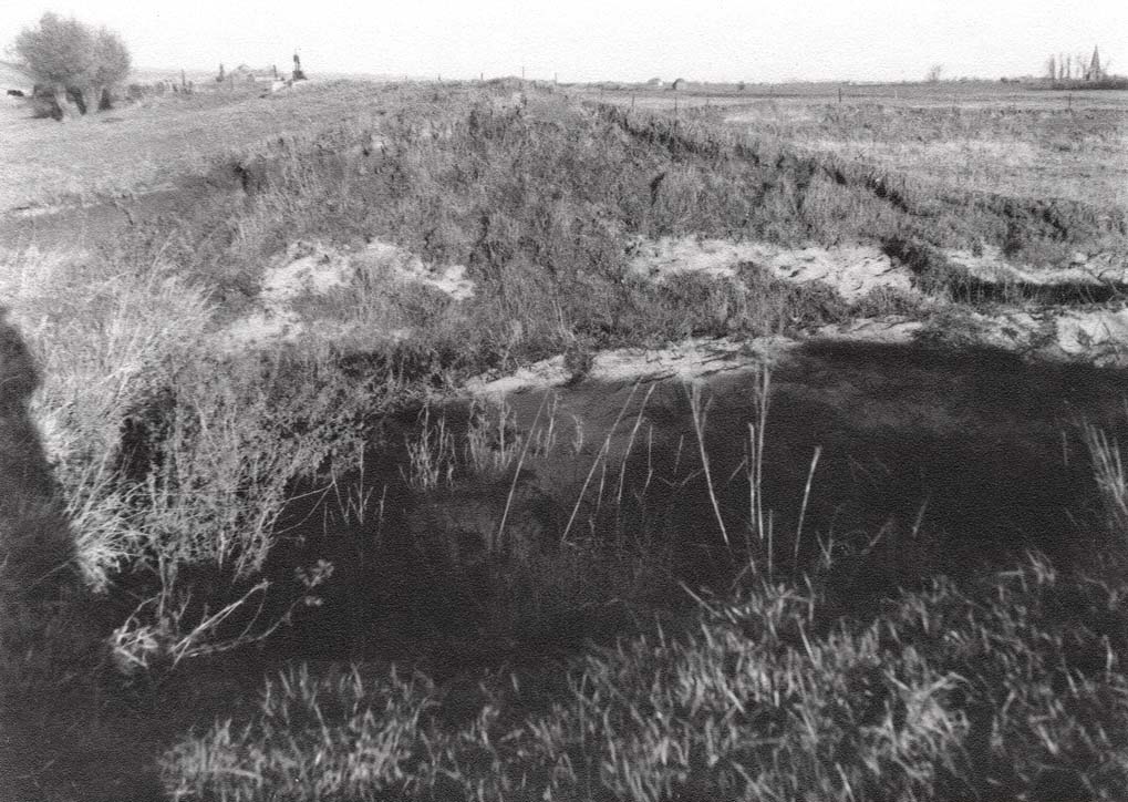 Archief Korevaar - Fotobewerking: berrydereusfotografie.nl