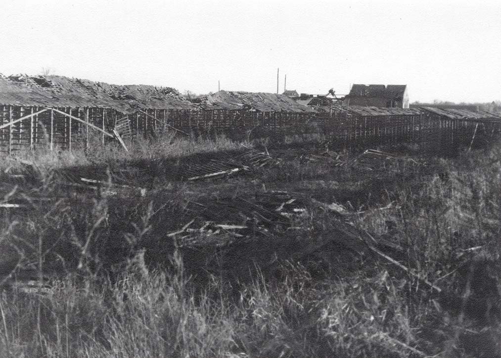 Archief Korevaar - Fotobewerking: berrydereusfotografie.nl