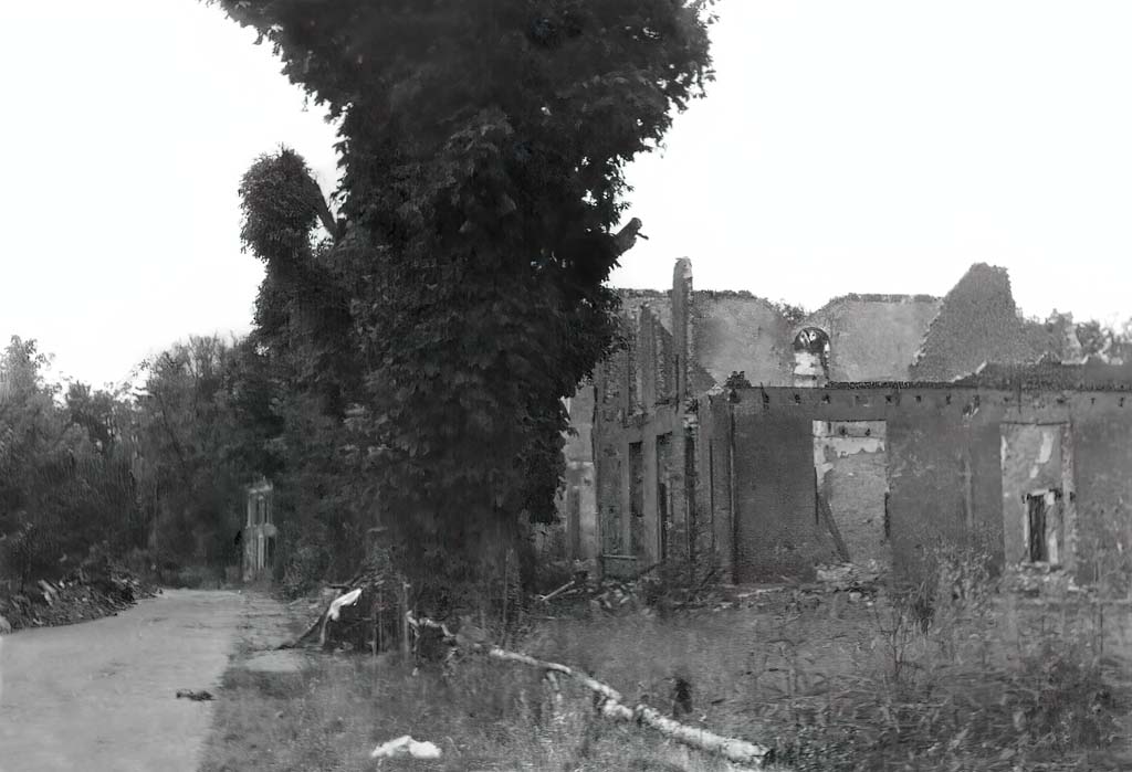 Archief Korevaar - Fotobewerking: berrydereusfotografie.nl