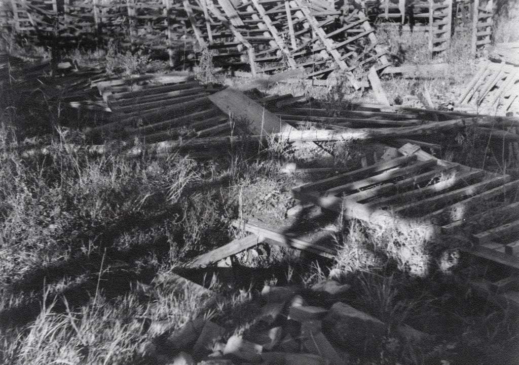 Archief Korevaar - Fotobewerking: berrydereusfotografie.nl