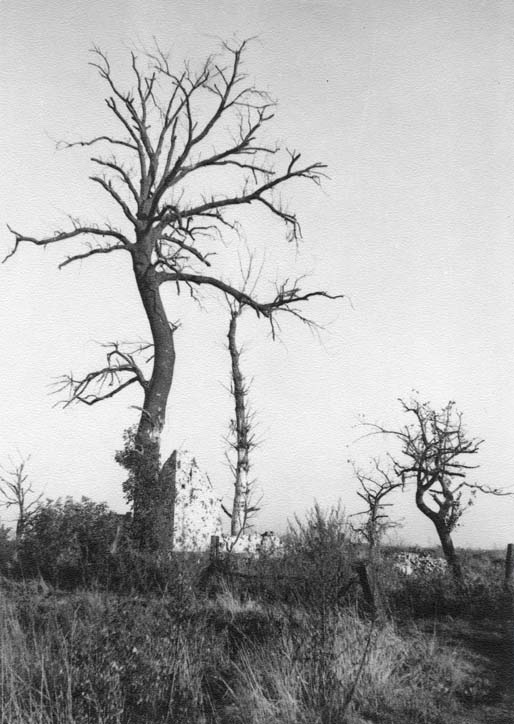 Archief Korevaar - Fotobewerking: berrydereusfotografie.nl